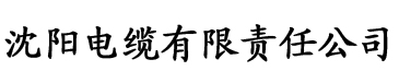 国产亚洲av手机在线观看电缆厂logo